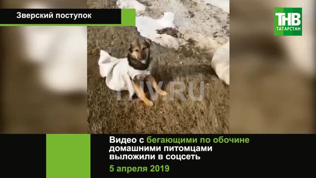 Порно №118185 - porno-porno.net