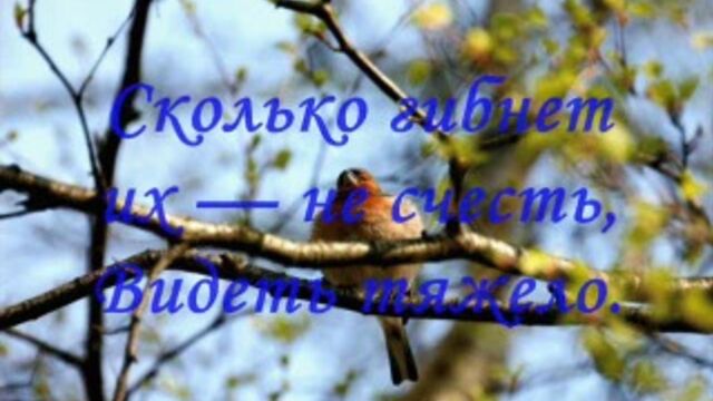Порно №129303 - porno-porno.net