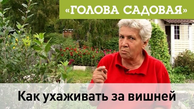 Порно №23840 - porno-porno.net