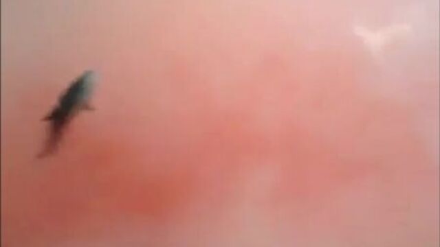 Порно №74757 - porno-porno.net