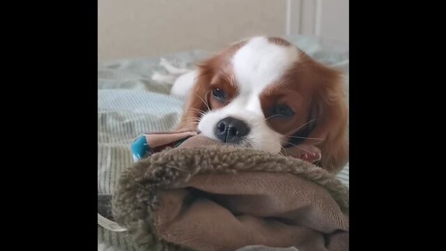 Порно №102574 - porno-porno.net