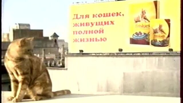 Порно №109510 - porno-porno.net