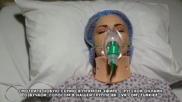Порно №40331 - porno-porno.net