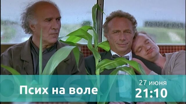 Порно №6124 - porno-porno.net