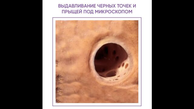 Порно №81421 - porno-porno.net