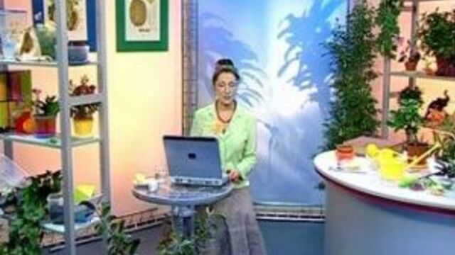 Порно №176140 - porno-porno.net