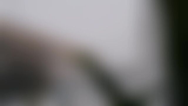 Порно №18300 - porno-porno.net