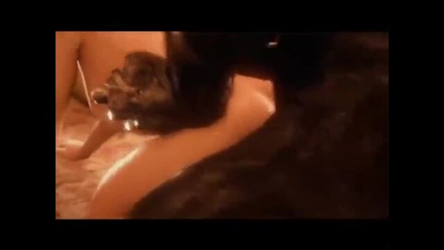 Порно №28121 - porno-porno.net