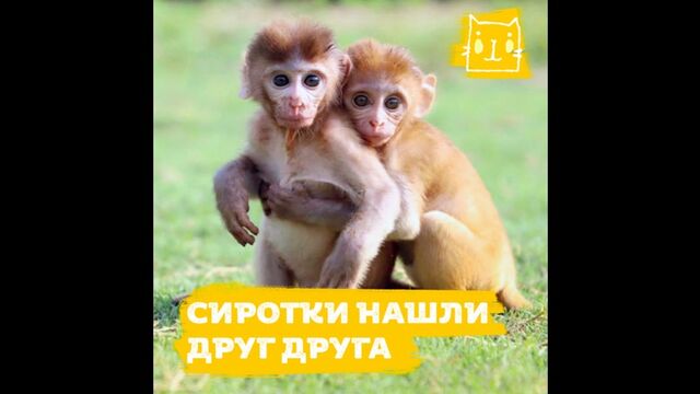 Порно №59357 - porno-porno.net