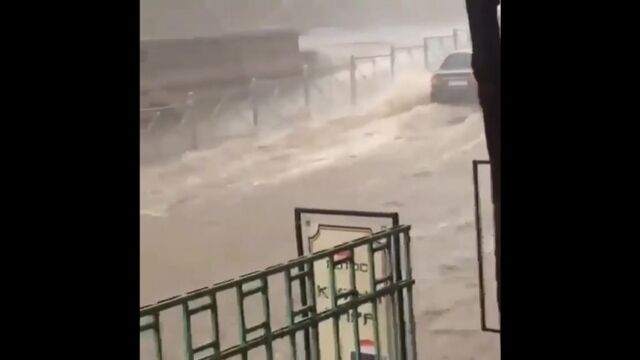 Порно №7446 - porno-porno.net