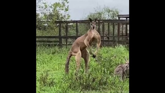 Порно №44863 - porno-porno.net