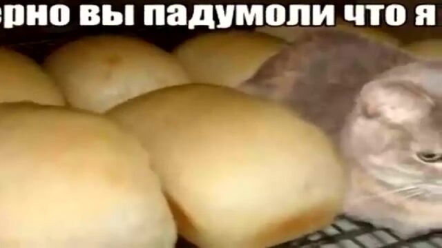 Порно №152234 - porno-porno.net