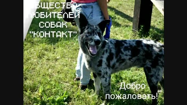 Порно №80443 - porno-porno.net