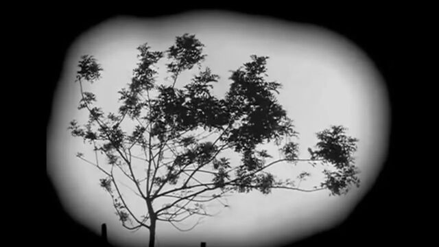 Порно №31668 - porno-porno.net