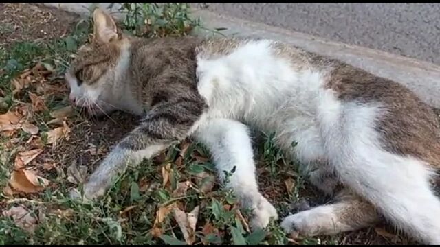 Порно №379612 - porno-porno.net