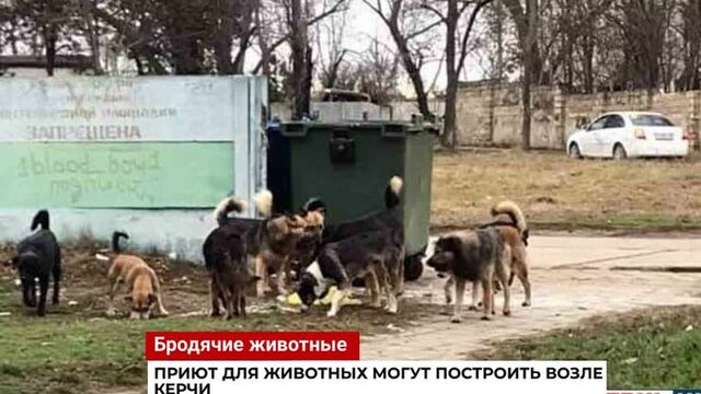 Порно №53681 - porno-porno.net
