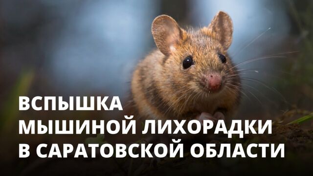 Порно №66396 - porno-porno.net
