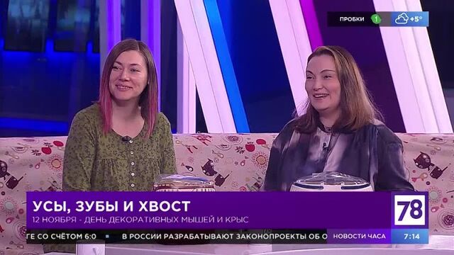 Порно №116384 - porno-porno.net