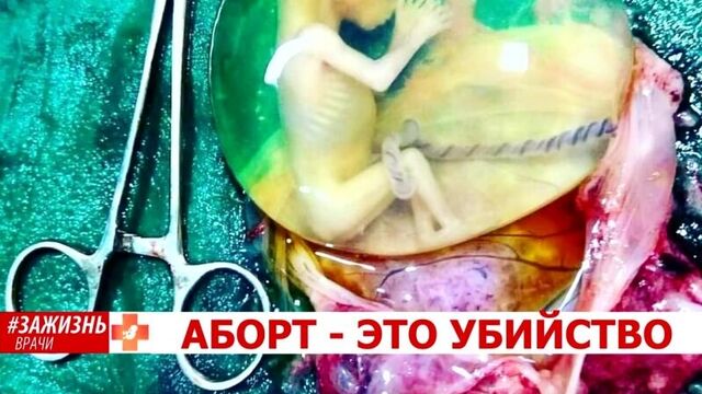 Порно №117899 - porno-porno.net
