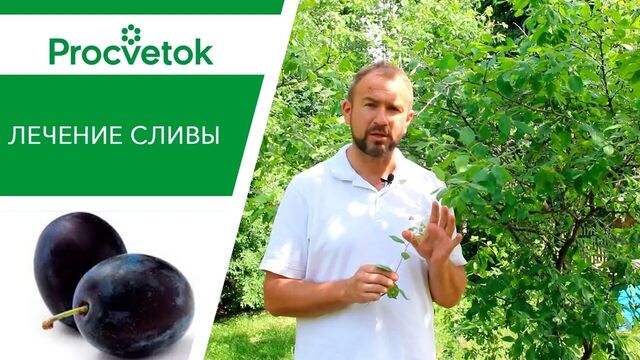 Порно №66169 - porno-porno.net