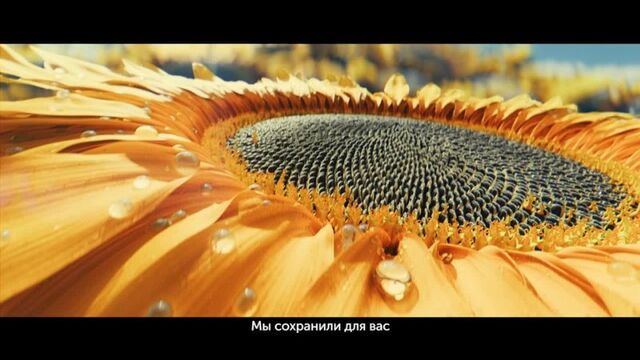 Порно №205647 - porno-porno.net