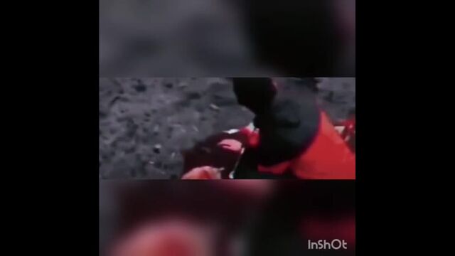 Порно №335842 - porno-porno.net