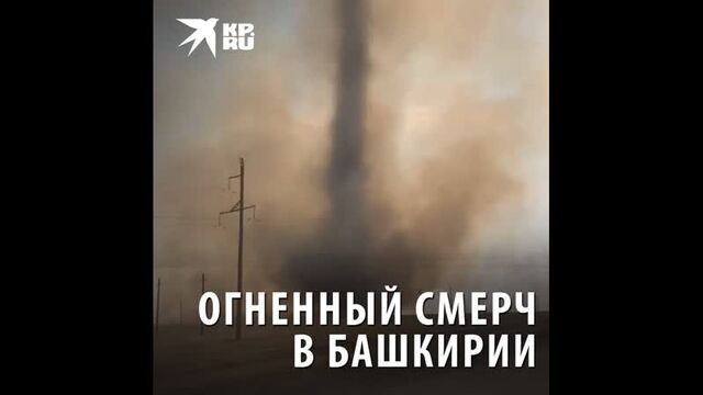 Порно №239131 - porno-porno.net