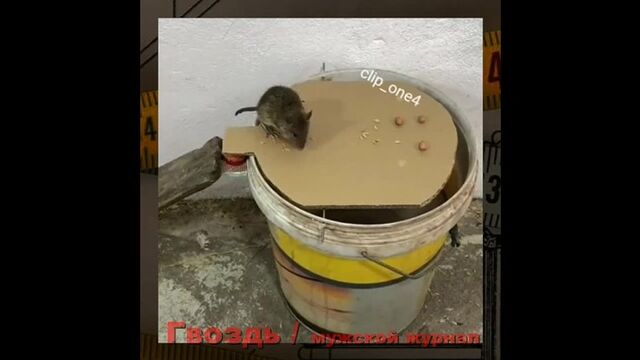 Порно №293534 - porno-porno.net