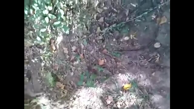 Порно №32426 - porno-porno.net