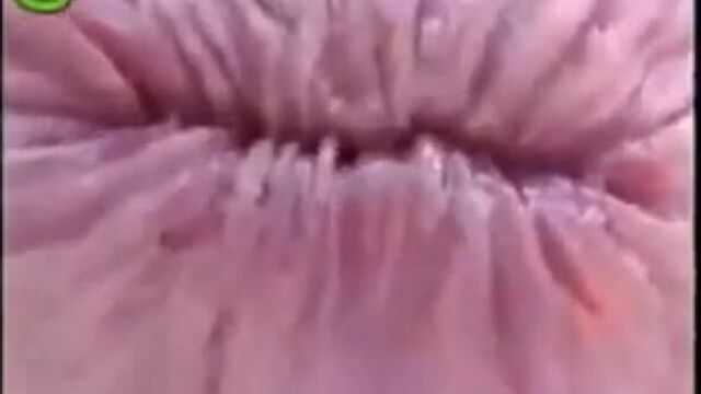 Порно №133173 - porno-porno.net
