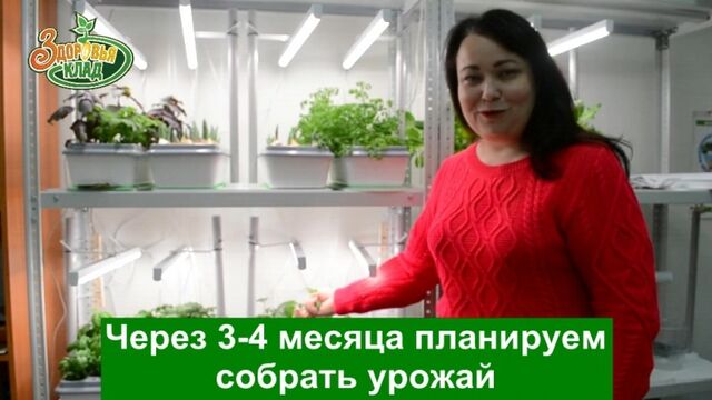 Порно №280750 - porno-porno.net