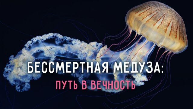 Порно №178770 - porno-porno.net