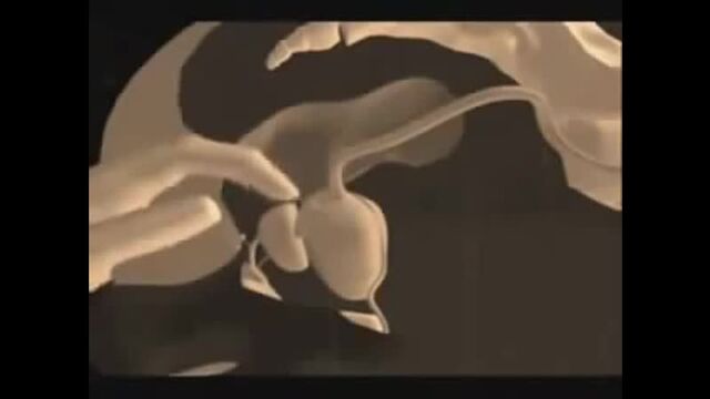 Порно №248391 - porno-porno.net