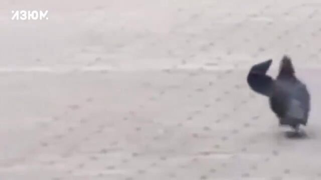 Порно №17457 - porno-porno.net