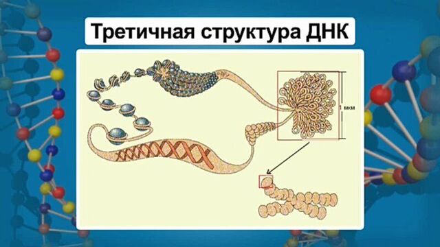Порно №139873 - porno-porno.net