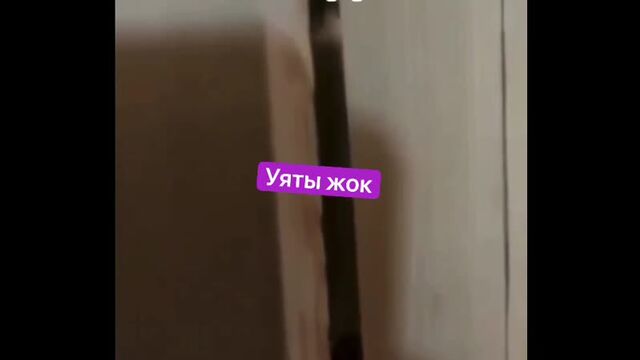 Порно №113844 - porno-porno.net