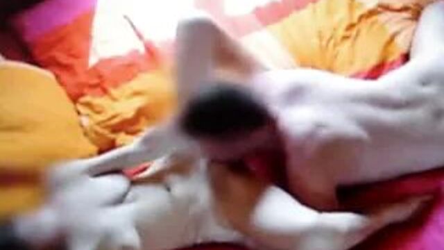 Порно №462884 - porno-porno.net