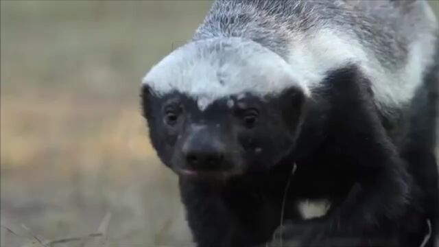 Порно №208830 - porno-porno.net