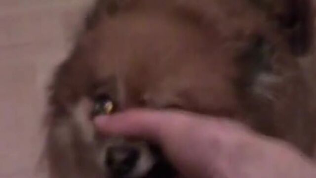 Порно №13479 - porno-porno.net