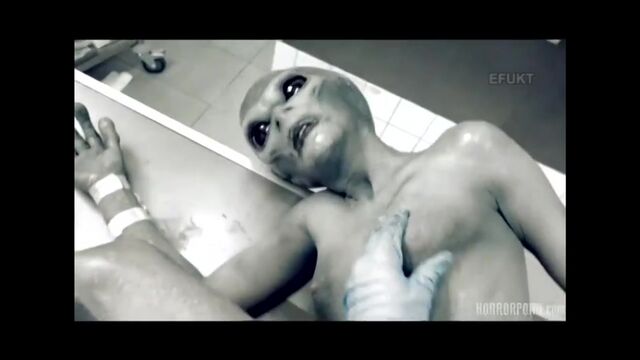 Порно №570 - porno-porno.net