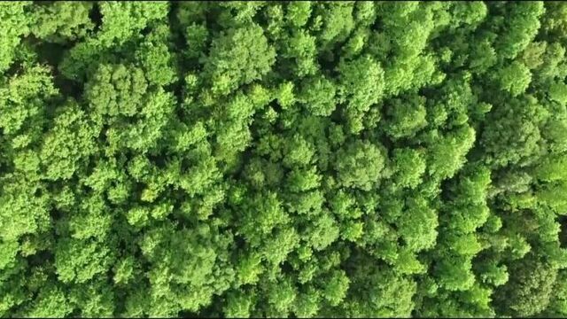 Порно №375287 - porno-porno.net