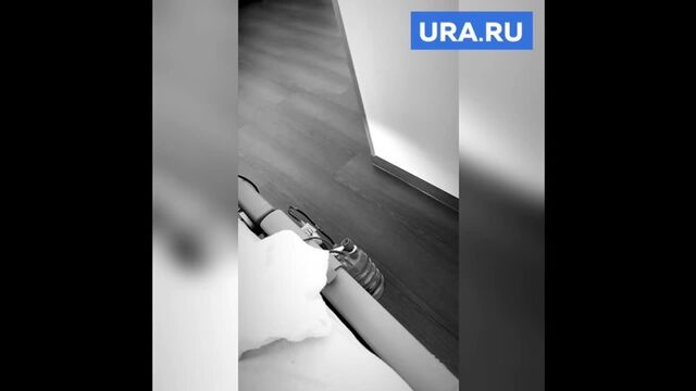 Порно №162944 - porno-porno.net