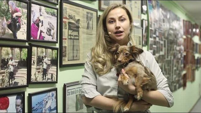 Порно №89026 - porno-porno.net