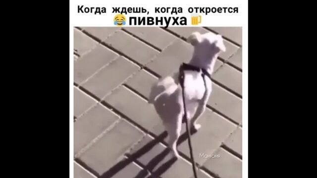 Порно №9477 - porno-porno.net
