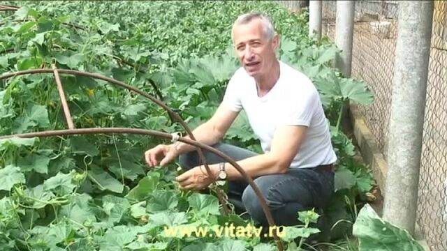 Порно №11709 - porno-porno.net