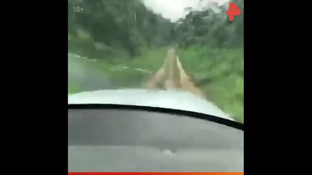Порно №122967 - porno-porno.net